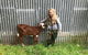 Valleyview Farm Stay/Horse Trekking - thumb 2