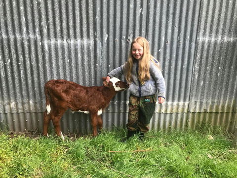 Valleyview Farm Stay/Horse Trekking - Accommodation New Zealand 2