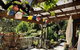 Waiheke Island Guesthouse - thumb 1