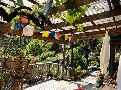 Waiheke Island Guesthouse - Accommodation New Zealand 1