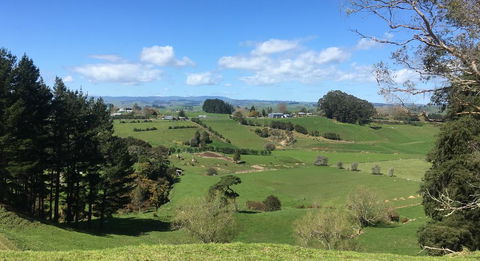 Waitomo Golf Ridge - Accommodation New Zealand 1