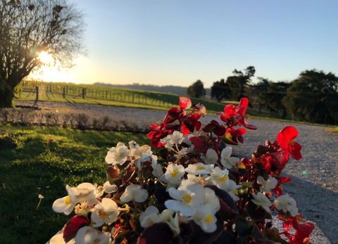 Waitomo Golf Ridge - Accommodation New Zealand 2