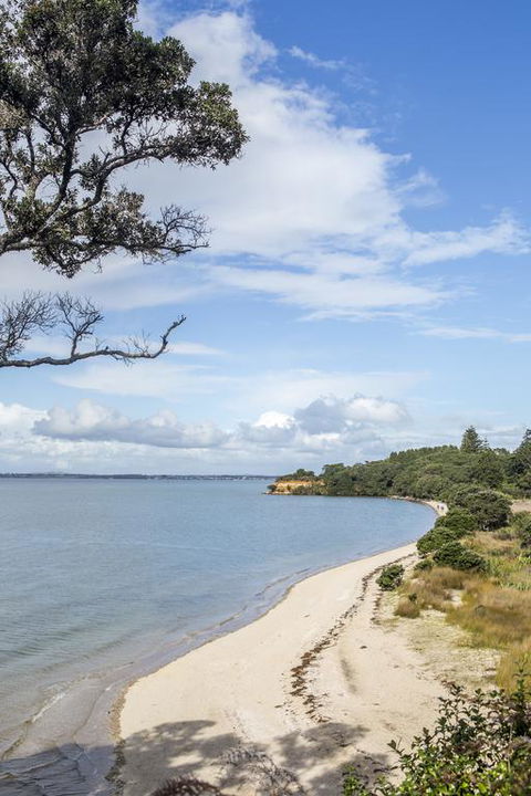 Waiuku Serene Farm & Home - Accommodation New Zealand 3