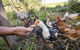 Waiuku Serene Farm & Home - thumb 1