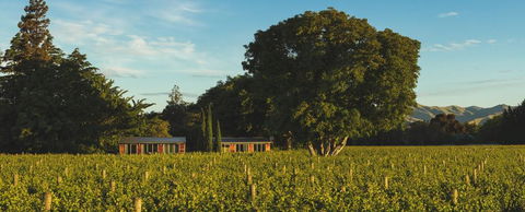 Walnut Block Cottages - Accommodation New Zealand 0