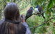 Wharepuke Subtropical Accommodation - thumb 0