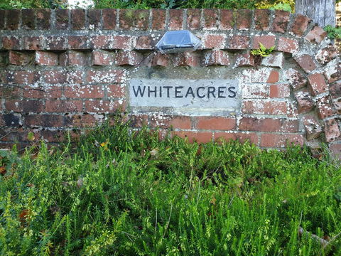 Whiteacres - Accommodation New Zealand 1