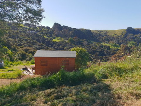 Wild Days Accommodation - Accommodation New Zealand 0