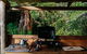 Wild Forest Estate Glamping - thumb 2
