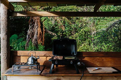 Wild Forest Estate Glamping - Accommodation New Zealand 2