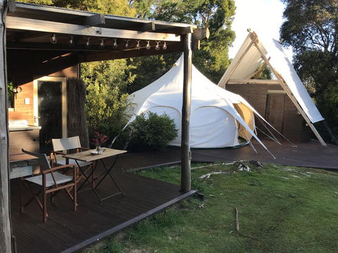 Wild Forest Estate Glamping - Accommodation New Zealand 0