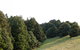 Wild Forest Estate Tin Box - thumb 2