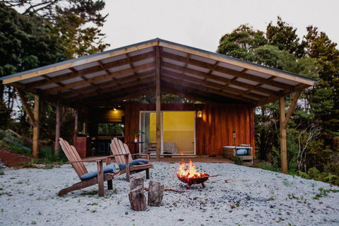 Wild Forest Estate Tin Box - Accommodation New Zealand 0