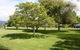 Levin Kiwi Holiday Park - thumb 3