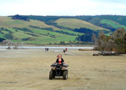 Pounawea Motor Camp - Accommodation New Zealand 1