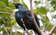Stewart Island Lodge - thumb 9