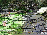 Te Kaha Holiday Park Motel  Cafe