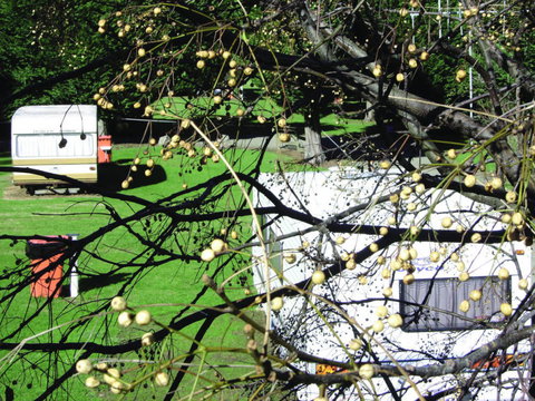 Te Kaha Holiday Park, Motel & Cafe - Accommodation New Zealand 0