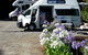 Rawene Holiday Park - thumb 5
