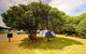 Kaikoura Peketa Beach Holiday Park - thumb 11