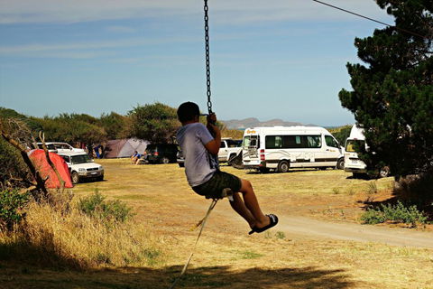 Kaikoura Peketa Beach Holiday Park - Accommodation New Zealand 7