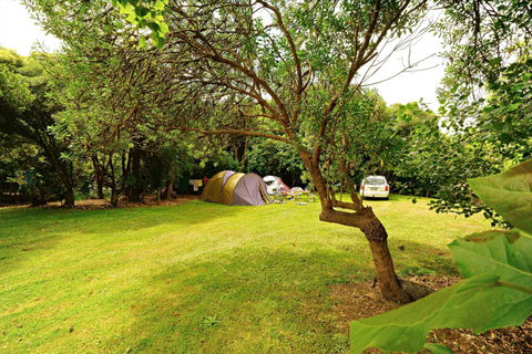 Kaikoura Peketa Beach Holiday Park - Accommodation New Zealand 12
