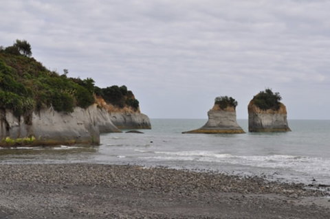 Onaero Bay Holiday Park - Accommodation New Zealand 6