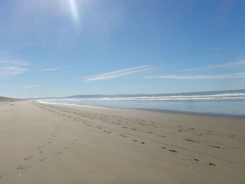 Woodend Beach Holiday Park - Accommodation New Zealand 14