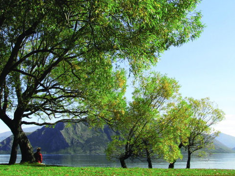 Lake Outlet Holiday Park - Accommodation New Zealand 10