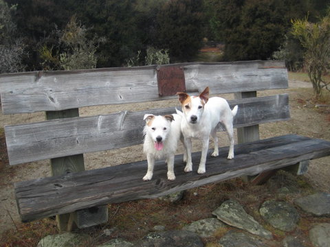 Lake Outlet Holiday Park - Accommodation New Zealand 3