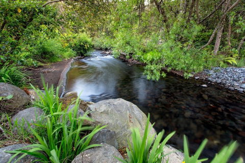 Ohakune TOP 10 Holiday Park - Accommodation New Zealand 11