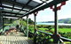 Te Kouma Harbour Cottages - thumb 10