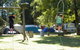 Quinneyâ€™s Bush Camp - thumb 2
