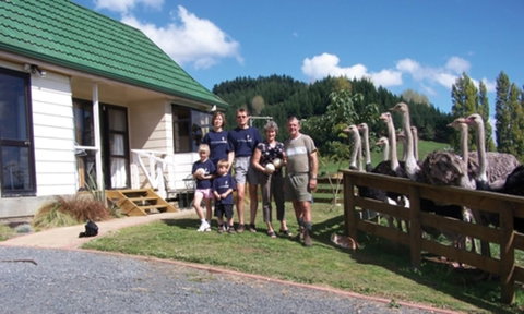 Waitomo Big Bird B&B & Petting Farm - Accommodation New Zealand 5