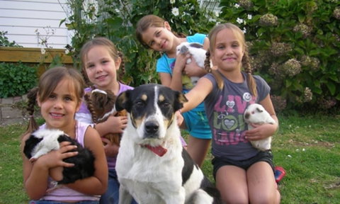 Waitomo Big Bird B&B & Petting Farm - Accommodation New Zealand 4