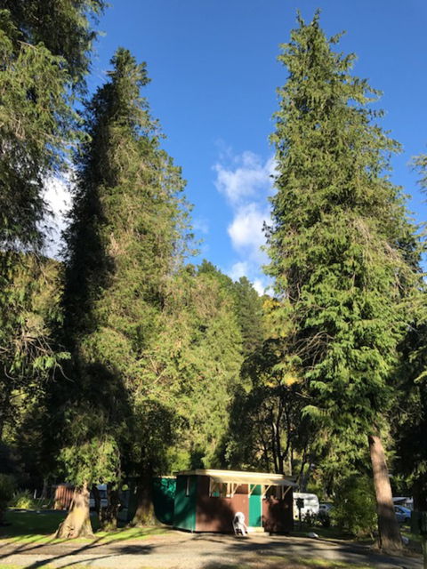 Maitai Valley Motor Camp - Accommodation New Zealand 2