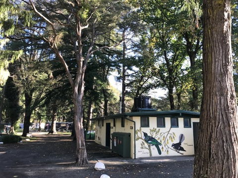 Maitai Valley Motor Camp - Accommodation New Zealand 6