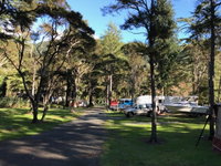 Maitai Valley Motor Camp