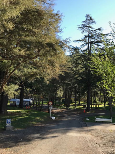 Maitai Valley Motor Camp - Accommodation New Zealand 1