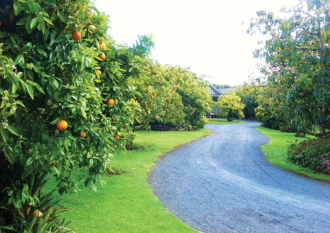 Kerigold Secluded Chalets Motel - Accommodation New Zealand 5