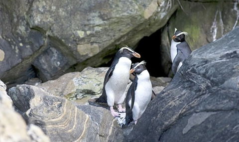 Real Journeys Milford Sound Overnight Cruises - Accommodation New Zealand 9