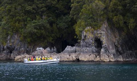 Real Journeys Milford Sound Overnight Cruises - Accommodation New Zealand 6
