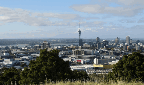 Fat Camel Backpackers Hostel - Accommodation New Zealand 6