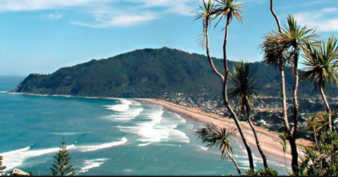 Lynton House Bed & Breakfast - Accommodation New Zealand 16