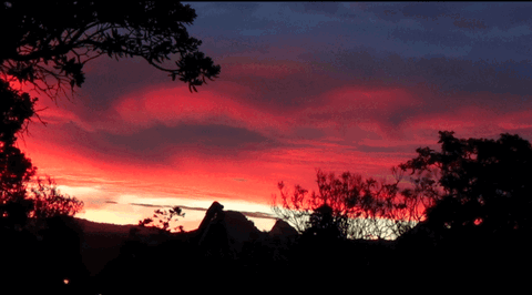 Lynton House Bed & Breakfast - Accommodation New Zealand 9