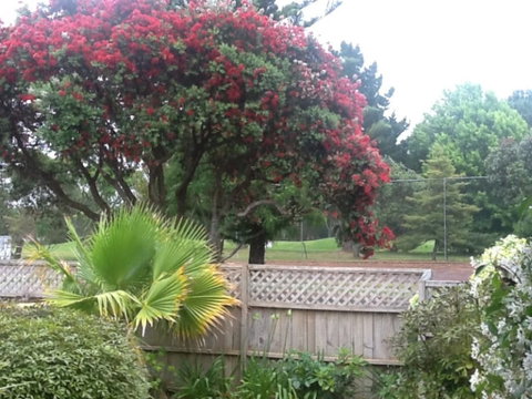 Lynton House Bed & Breakfast - Accommodation New Zealand 17