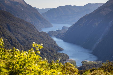 Doubtful Sound Overnight Cruises - Real Journeys - Accommodation New Zealand 13