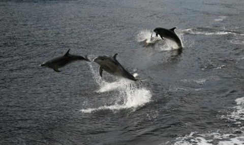 Doubtful Sound Overnight Cruises - Real Journeys - Accommodation New Zealand 3