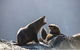 Doubtful Sound Overnight Cruises - Real Journeys - thumb 9