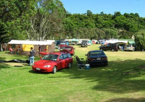 Urenui Beach Camp - Accommodation New Zealand 4